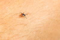 ��� �������� ������ �����ؾ� �� �����