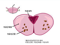  롤  'ڱü'  ãҴ