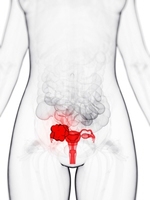 �ڱó����ϰ� ���ҾϿ��� �߿��� '������'��?