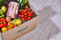 ���� �������� �����롯�� ������ OO ������ ��