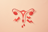 ���� 3�� �� 1���� ������ �ִ� '�缺 Ȥ'