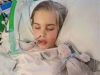 ��������, �������������� �̷��� �����ϴ�