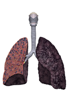 �ϡ����庴��ŭ ������ '3�� �������'�� ���� 2�� �� 1..