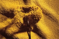 �Ĺ��� �Ѿ� ����������?�� �̰������� ���� ���� ���� ����