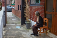 ���̰͡� ������ ����, ġ�� ���� ����