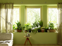 �����ϰ� ����ϴٸ顦 ������ 'OO' Ű��������