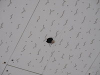 �繫�ǡ����� õ�弭 ������ �����顯, 30�� �� ��� ���ɼ�