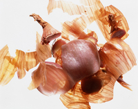 �������� ���̰͡��� �� �ᵵ�� ��Ÿ�Ρ��׻�ȭ ���� �����