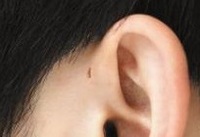 �� ���� ���� �����ۡ��� �־�䡦 ��ü�� �����?