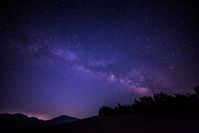 ���õ� ���� �η��� ����顦 ���� ������ �ұ�