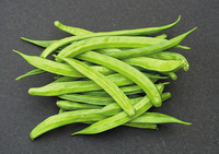 [�д�365] ���ư˰������ع� �Դ� ���ε�, ���索�� �����Ѵ١���..