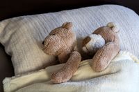 �������ϰ� ������ ������ ���鿡 ���� ������ �Ȱ� ��弼��