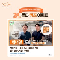 �޵�����Ʈ ����Ʈ����, ���� ������ ���� ���� 31���� ���� ����..