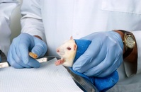 FDA, �ž� ���� �� ���� ���� ���δ١� AI���������̵�� ��ü