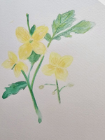 [�ƹ̶�] �߻�ȭó�� �Ǿ�� ����