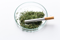 ���븶�� �����ϴ١�? �� ���� �ٲ� ġ�� ���� Ű���� ������Ρ�..