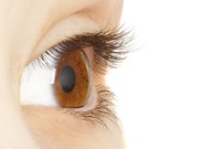 40�뿡 ���� ���� ���� �ִ� ����� ġ�� �ɸ� ���� ����