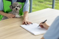 ��⵵, ���⵿�� �Ծ��ϸ� �꺸�� ���� ���� ������ ��û ���..