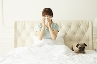 ������ ���������� �๰����ħ�̡� �ݷ����� �˷�����, ��ó����..