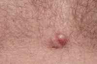 '�� �ڱ�' 2�� �Ѱ� �� ��������, ���� ������ �Ǻΰ� ��..