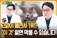 [�۸۳ɳ� TV] ������ ������ 1�� �ɱٺ����, ���̰͡� �˸� ��..