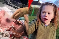 ���Ǻο� �ܿ� ���� �־ ����� ������ ���� ���塦 ���� �� ..