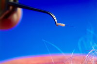 ����� �̽ġ� ���, ������ �ִ� 15�� ���� ��� ���� ������..