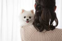 ���С���������ȥ ſ ���� �ݷ������� ���̺��� ���� ����� �� ..