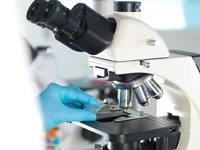 ���ࡤ���̿�����, ����� �ĺ��鿡�� ����� R&D ���� �÷��޶�..