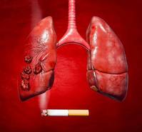 ��Ͽ� ���������� �������� �� ���� �� ���� Ŭ��?