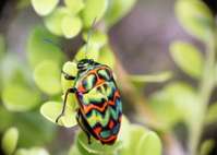 ���� ���桯 ���̸� ���� �þƺ����䡦 ������ ���ơ�