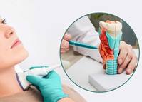 ���� ������, ���� �� ����缺 ����� ġ�ᡯ ���� ����