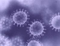 ���� �����±����� HIV ���� ������ ���� ����