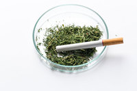 ���Թ��ڿ롯 �̹����� ������ ū �ϡ� �븶, ��ī�κ��� ���忡..