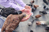 ��������ѱ⿡�� ���� ��ٰ�, ���ִ� 100������ ���·�