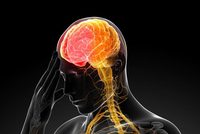 ������ ���� �� 1��, �ɹ漼�� �����ؾ�