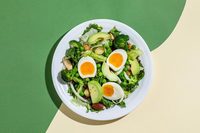 �� ���� ��, �ʷϻ� ���� ä�ҡ� ����̱⡦ ���� ���������� ��..