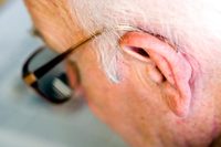 ������ �������� ��Ų���� ���� ���ɡ� ���?