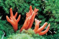 ������ ���١� �˷��� ���� �������� �����, ��⸸ �ص� ���� ..