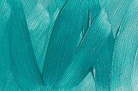 ���ݲ� �� �� ���� ���ο� �� ���÷�(Olo)�� �߰�