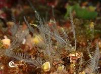 �������� ��¦ �����µ��� �Ǻ� ȭ�� �ٴٿ��� �����ؾ� �� ��..