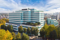 �������Ƿ��, ��� ������ �� 1���