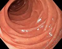 ���� ���ð浵 ���� �ϰ����� ����, "10�⿡ �� �� ��������"