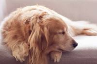 "�������� �� �Ǻ� ���� �þ� ����"�� ���� ����� �� ���� ����..