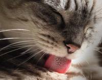 [۸۳ɳ] " "  ٴ  ̷ ĥĥ..