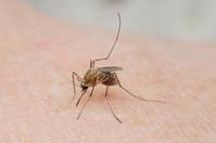 ����¾�� ��� �� ���̴���ϡ��� ���̷� ������ �־���