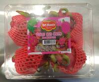 ��Ʈ���� ����� �ܷ� ��� �ʰ� ���⡦ ��ä, ��� �ľ�� ��..