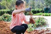 ���� ù 5�Ⱓ ���̰��� ��顦 �索�� ���� 80% �� ����