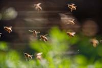 ���̷��� �����߾�?�� �� �� 10�� �̻� ���̰͡����� ���� ������..