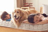 강아지와 자란 아이, 폐 기능 좋다던데… 고양이는?